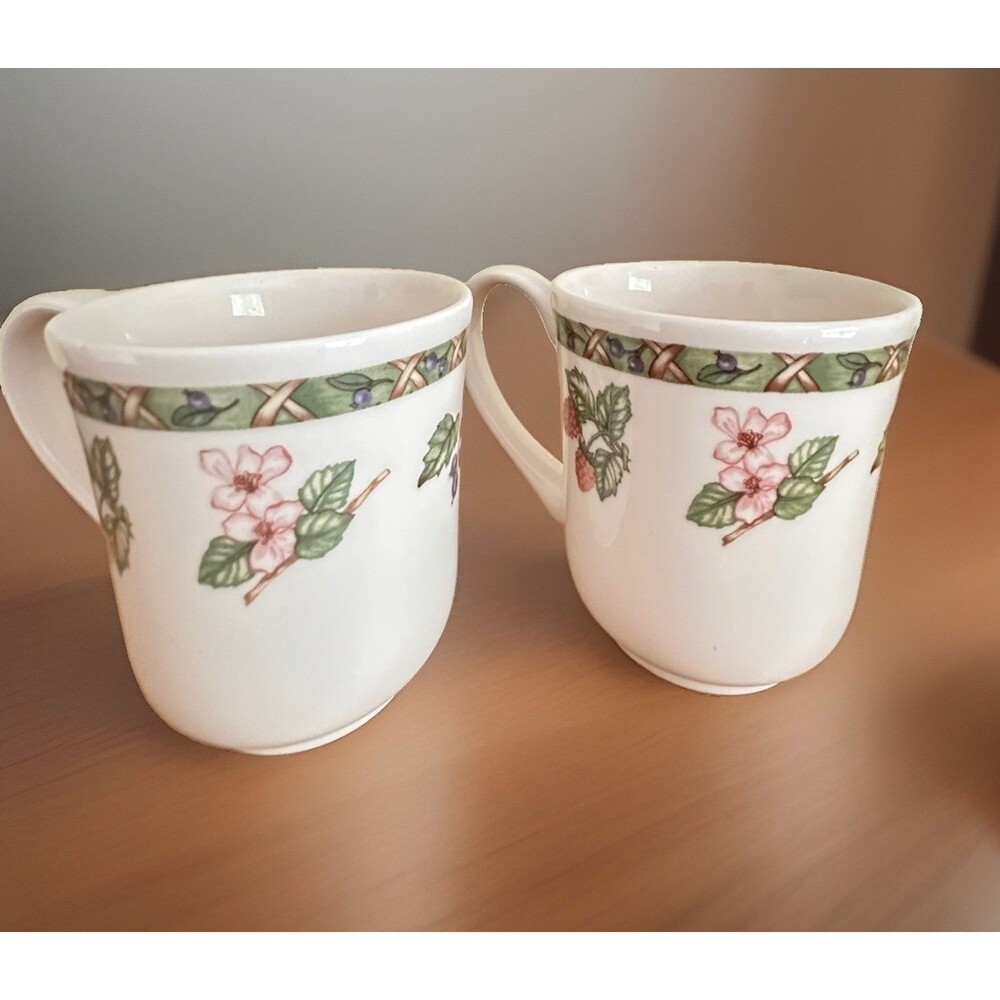 JOHNSON BROTHERS ACADIA FRUIT RARE COFFEE MUGS SET OF 2 ENGLAND